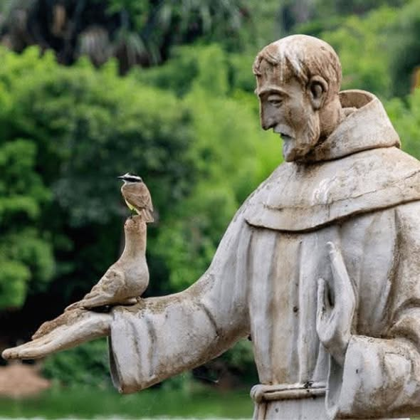 Statue of St Francis of Assisi